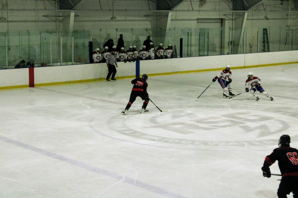 Men playing hockey in an ice rink with a small crowd